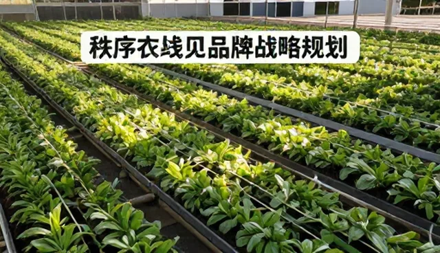 财务效率:常见问题与处理方法分析